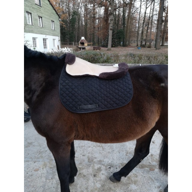 Amortisseur gel et mouton