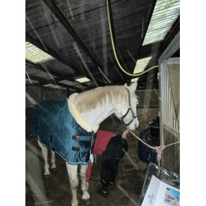 Couverture de présentation velvet kentucky