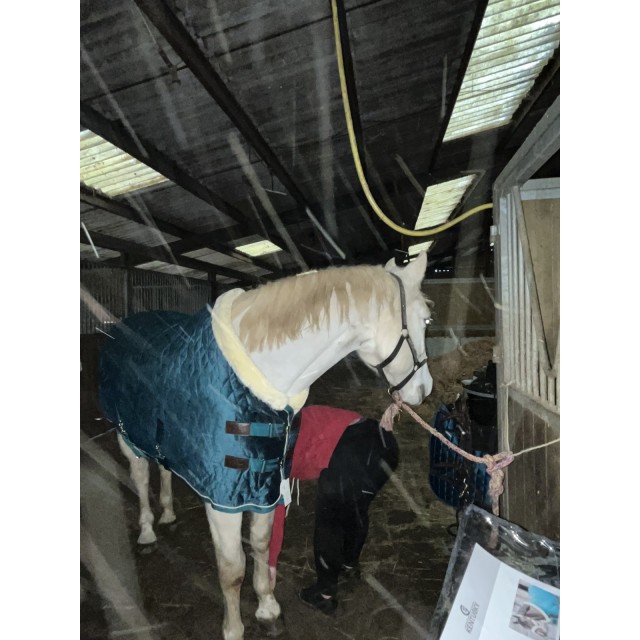 Couverture de présentation velvet kentucky