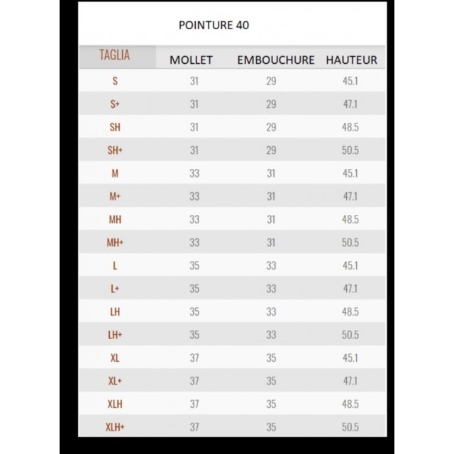 Bottes parlanti Denver luxe