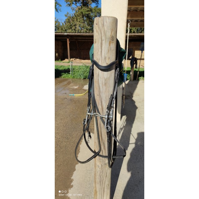 Bride harmonie dressage