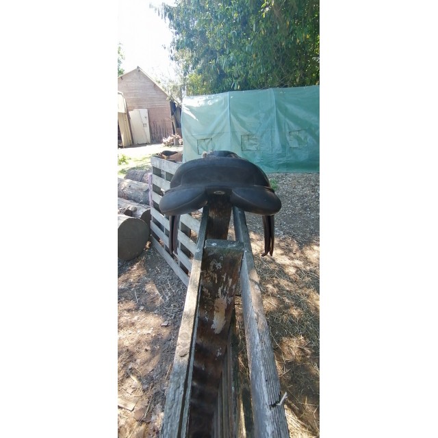 Selle wintec de saut