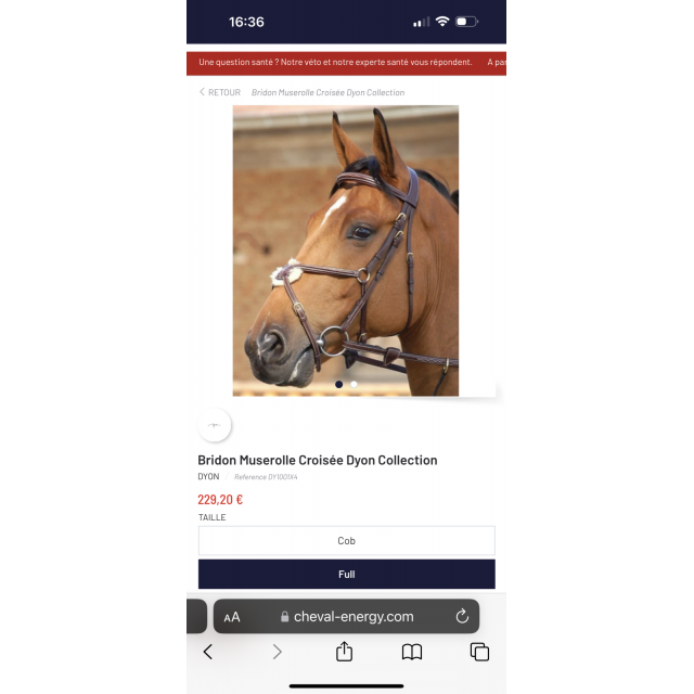 Bridon Muserolle Croisée Dyon Collection et Renes Dy'on neuf taille cheval