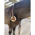 Collier de chasse