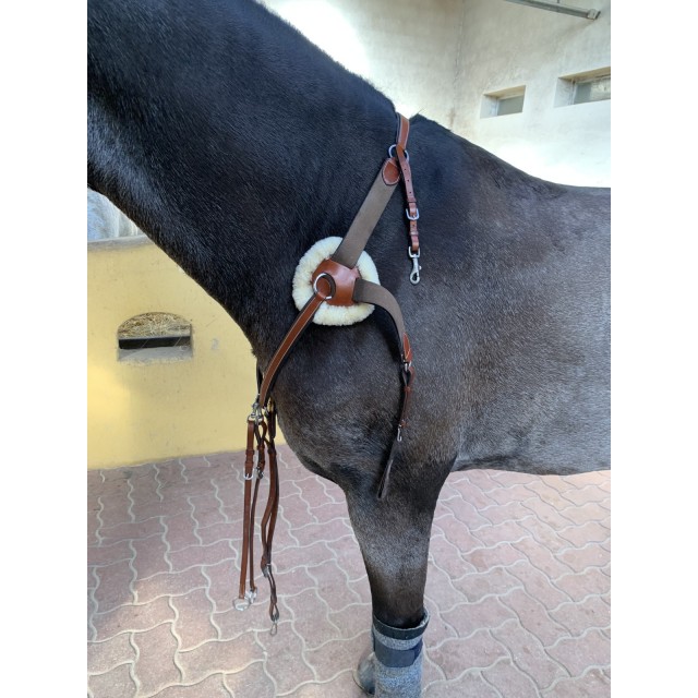 Collier de chasse