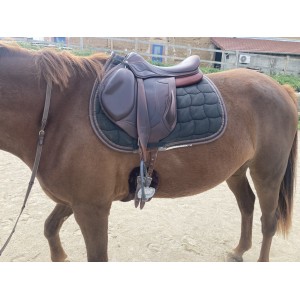 Selle monoquartier 17“