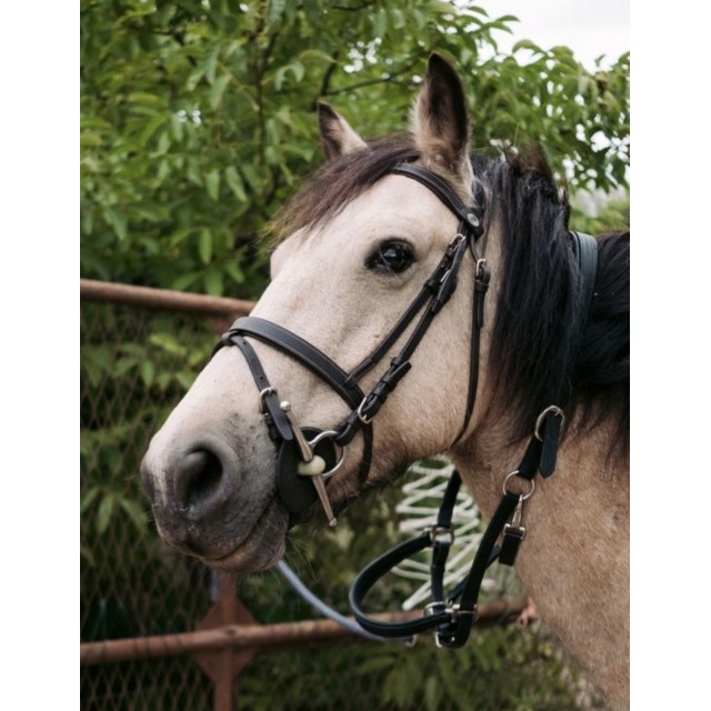 Bridon Privilege Equitation