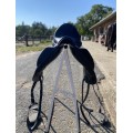 Selle de dressage Aulion