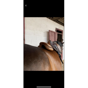 Selle devoucoux Biarritz