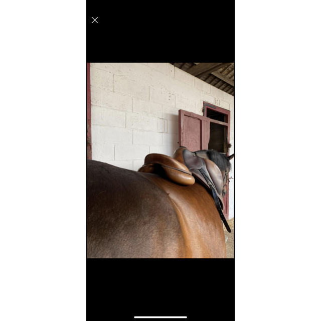 Selle devoucoux Biarritz