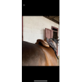 Selle devoucoux Biarritz