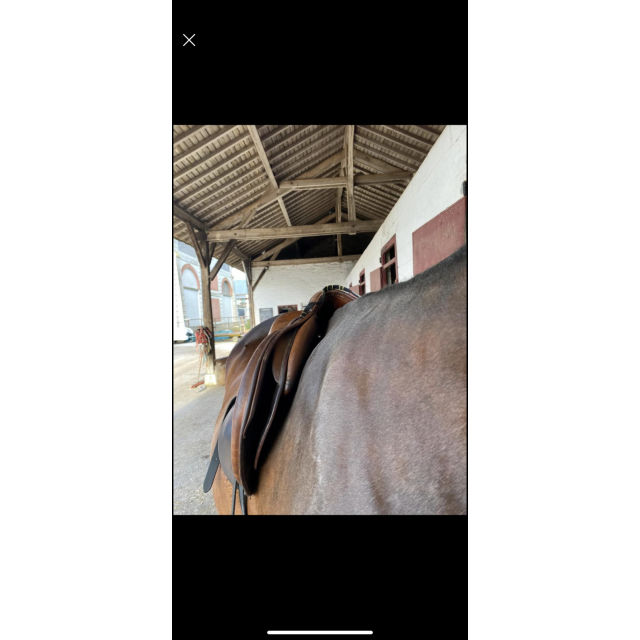 Selle devoucoux Biarritz