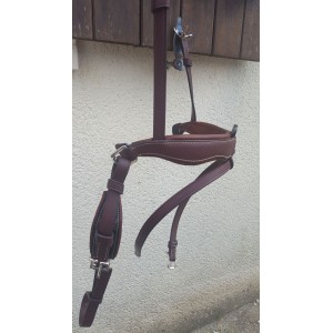 Muserolle Antares Dressage