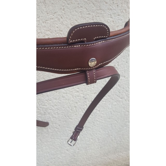 Muserolle Antares Dressage