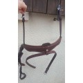 Muserolle Antares Dressage