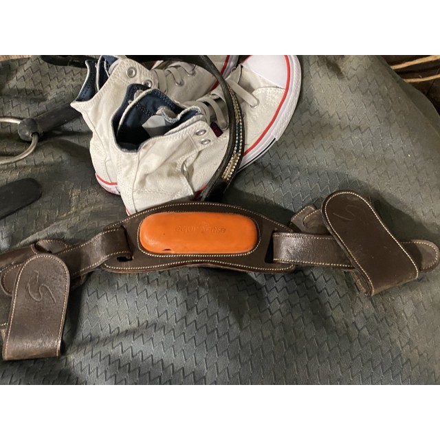 Capteur Motion Equisense + Sangle pour Cheval