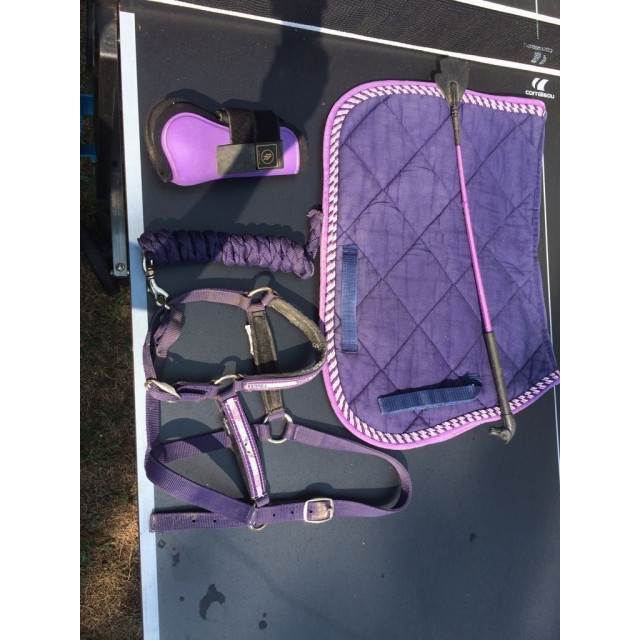 Br Violette taille poney