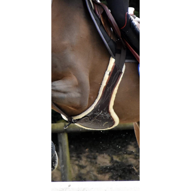 SANGLE BAVETTE MOUTON CWD
