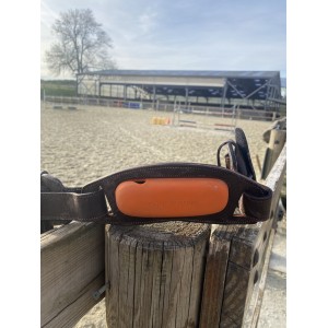 Capteur motion equisens + sangle + chargeur