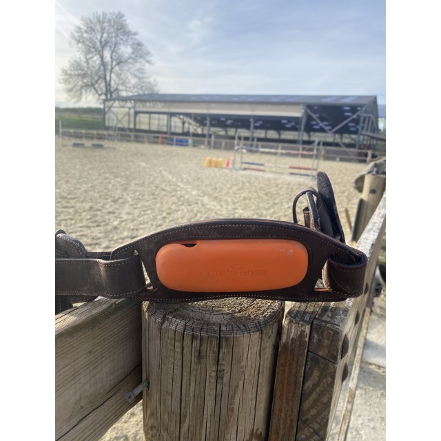 Capteur motion equisens + sangle + chargeur