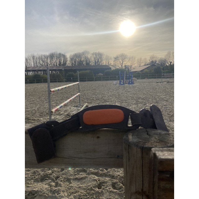 Capteur motion equisens + sangle + chargeur