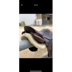 Selle gbs 2020