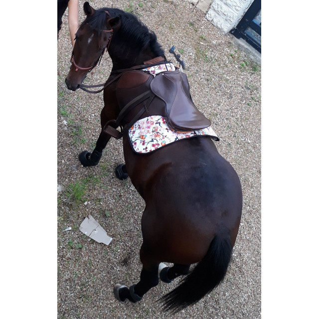 Tapis Oiseau Multicolor