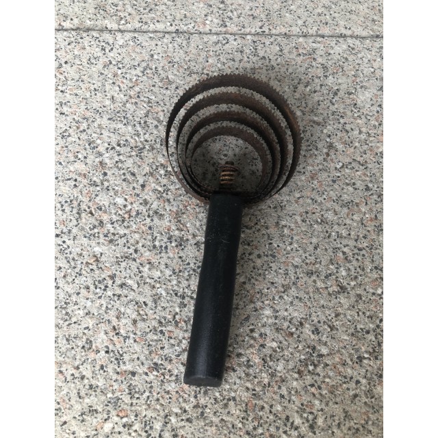 Étrille américaine