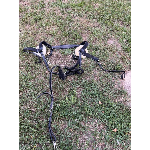 Collier de chasse 5 points