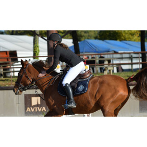 Amortisseur Kentucky