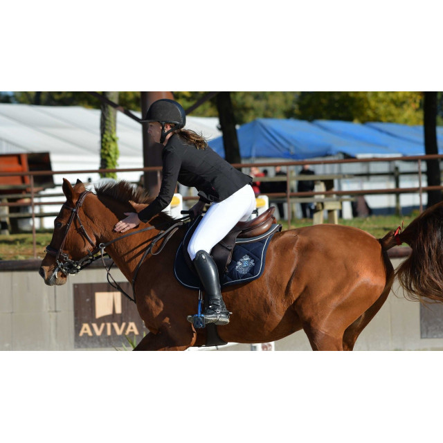 Amortisseur Kentucky