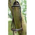 Bridon cuir marron Sarm Hippique
