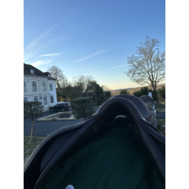 Selle Forestier Séoul
