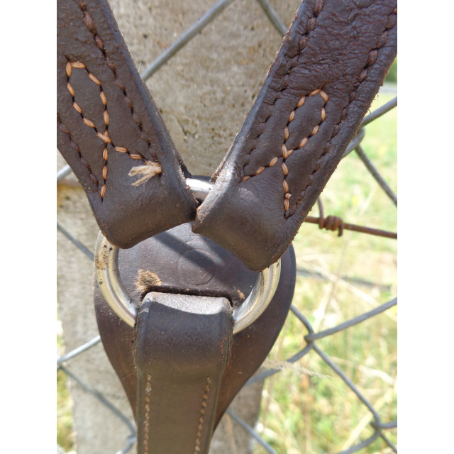 Colier de chasse Havane