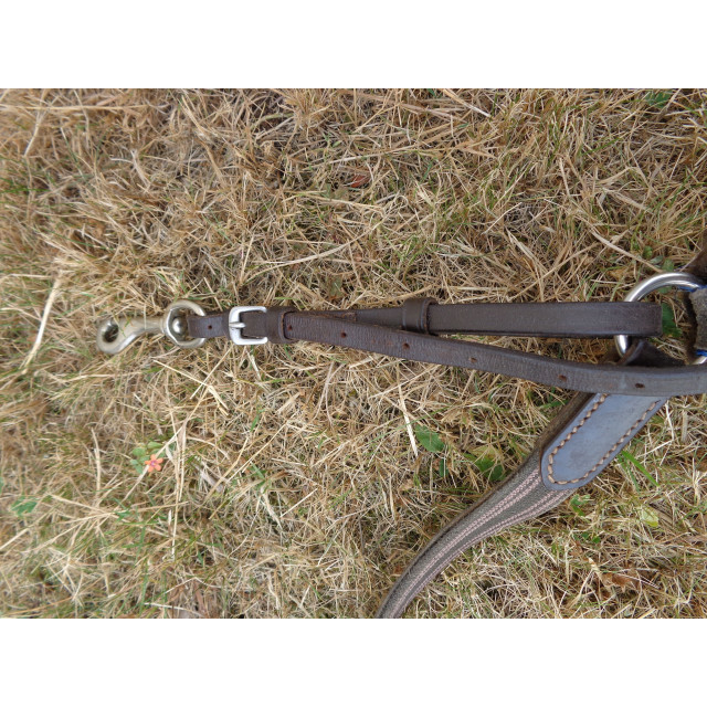 Colier de chasse Havane