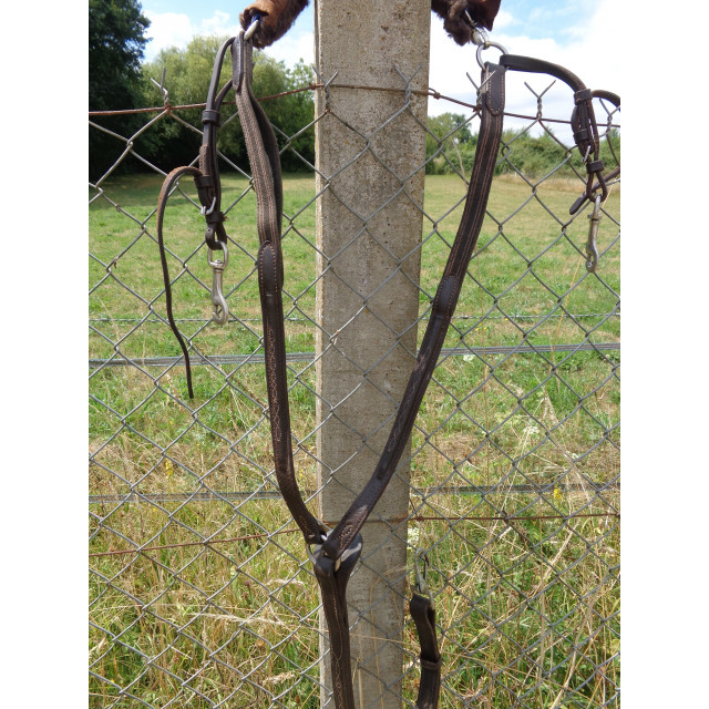 Colier de chasse Havane