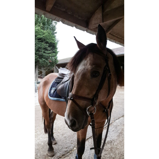 Tapis de selle Fouganza