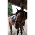 Tapis de selle Fouganza