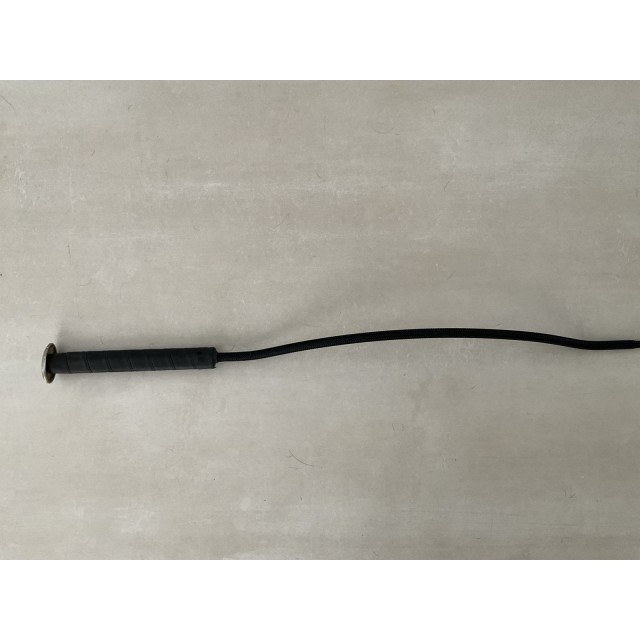 Cravache de dressage