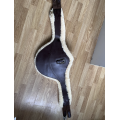 BAVETTE NORTON MOUTON 145CM