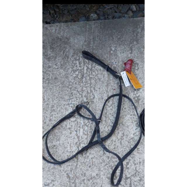 Martingale à anneaux