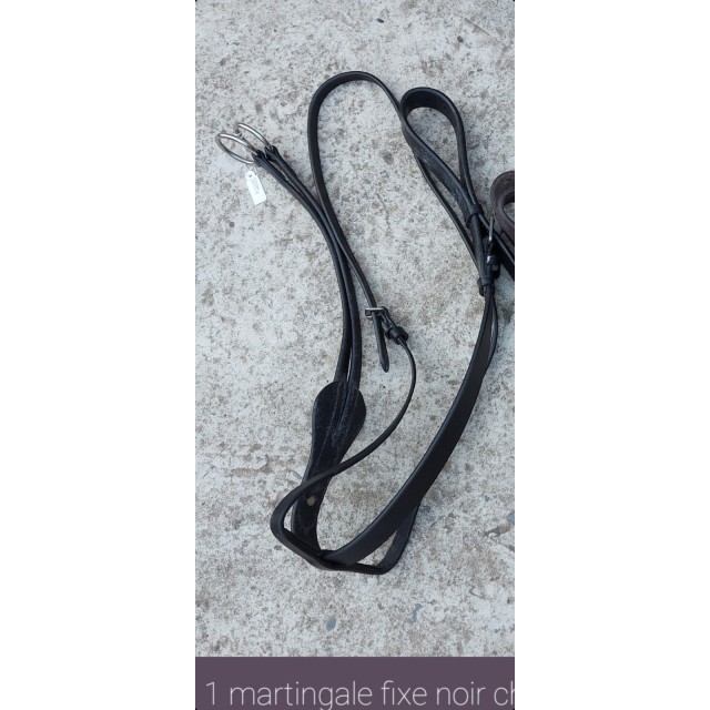 Martingale à anneaux