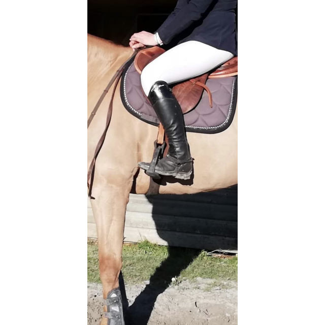 Chaps dyon
