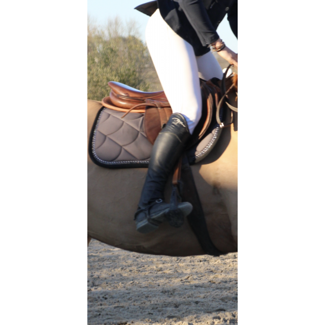 Chaps dyon