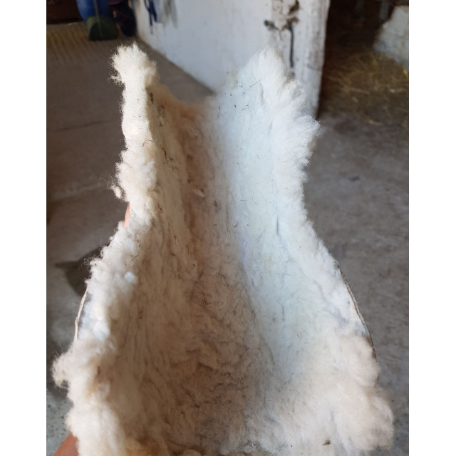 Guêtres et protéges-boulets mouton véritable