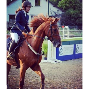 Collier de chasse + martingale cuir et élastiques beige HFI