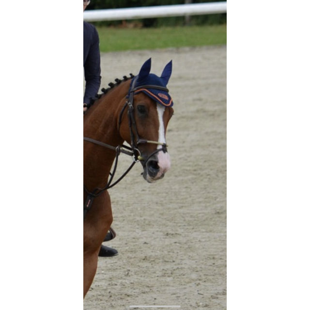 Bridon equipe