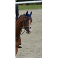 Bridon equipe