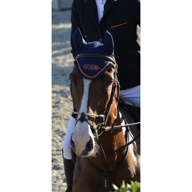 Bridon equipe