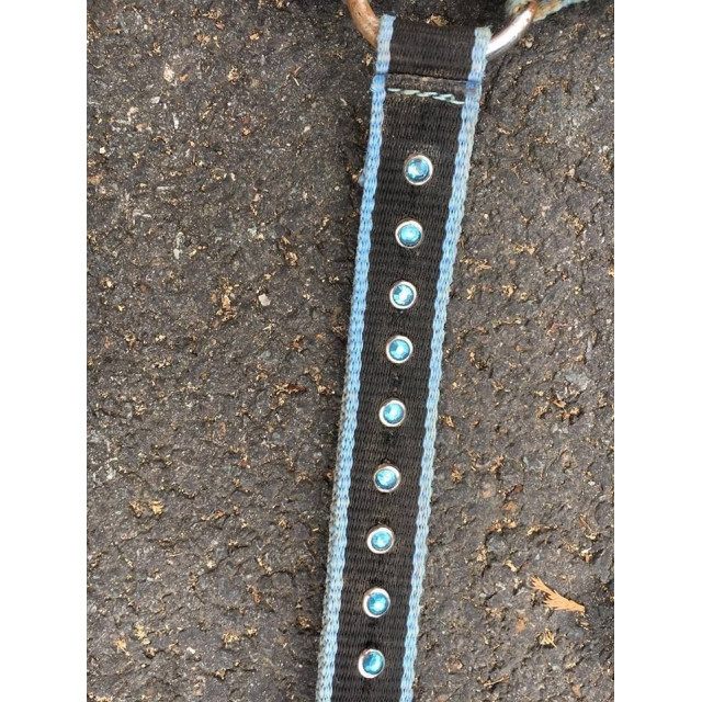 collier de chasse